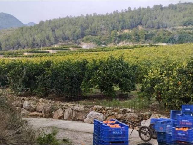 Terreno en Venta en L'Atzúbia