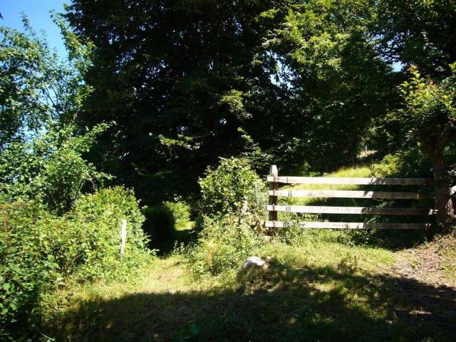 Terreno en Venta en Laviana