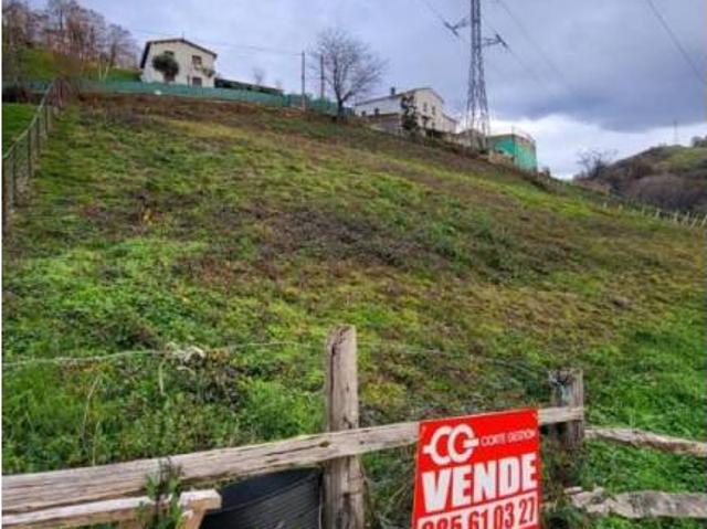 Terreno en Venta en Laviana