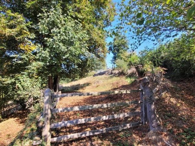 Terreno en Venta en Laviana