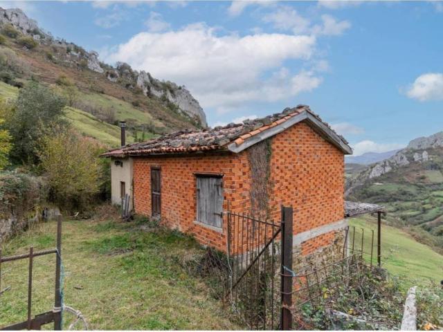 Terreno en Venta en Laviana