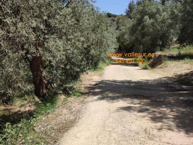 Terreno en venta en Lecrín, Chite