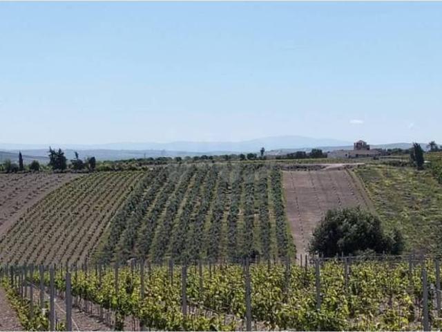 Terreno en Venta en Lebrija