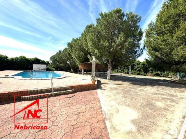 Terreno en Venta en Lebrija