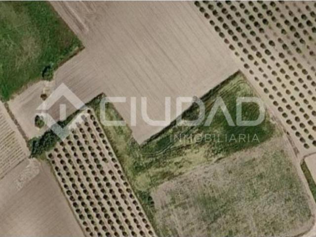 Terreno en Venta en Lebrija