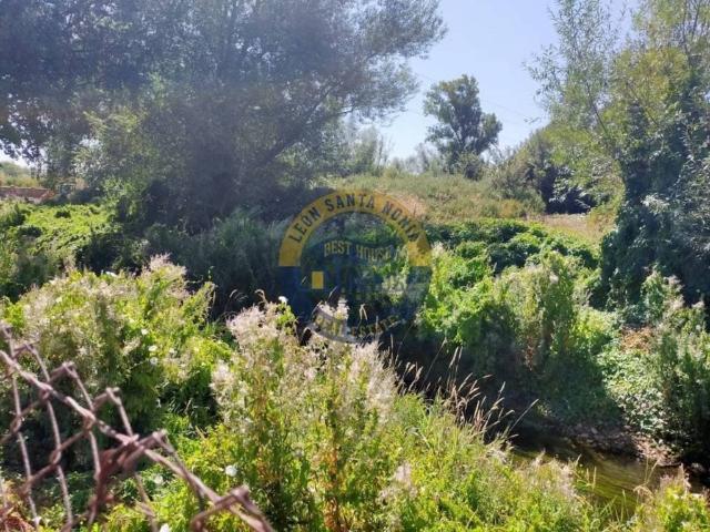 Terreno en Venta en León