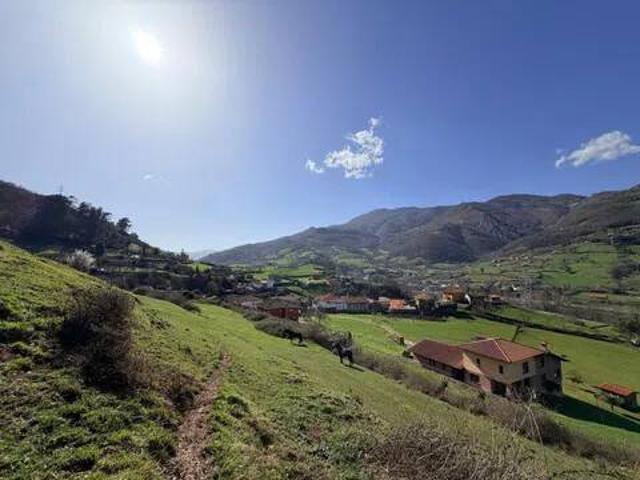Terreno en Venta en Lena