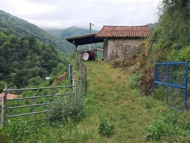 Terreno en Venta en Lena