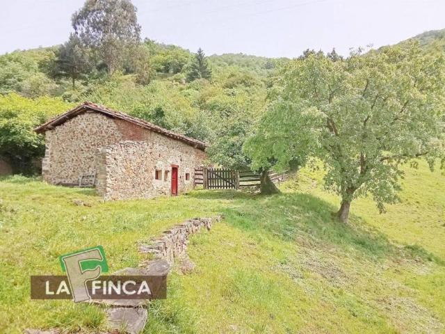 Terreno en Venta en Lena