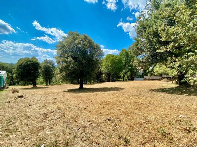 Terreno en Venta en L'Esquirol Santa Maria de Corcó