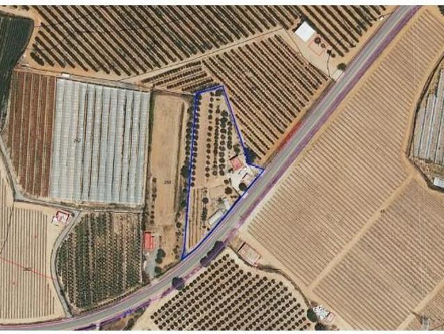 Terreno en venta en Lepe