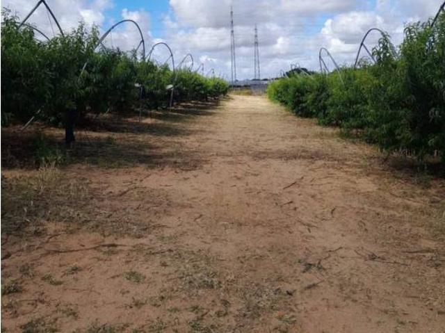 Terreno en Venta en Lepe