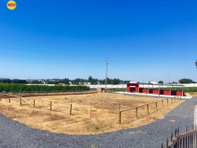 Terreno en Venta en Lepe