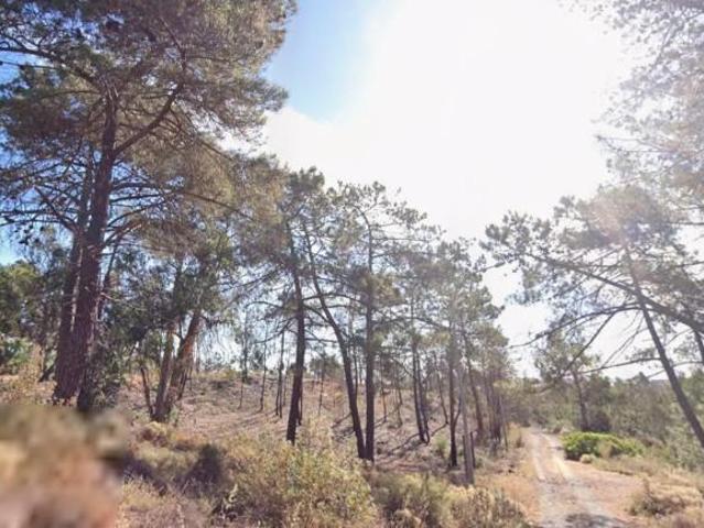 Terreno en venta en Lepe, Costa de la luz