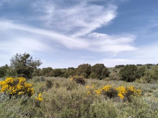 Terreno en Venta en Lezuza