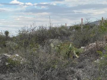 TERRENO EN VENTA EN LIBRAMIENTO ARCO VIAL, GARCIA, NUEVO LEON