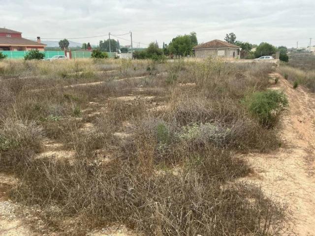 Terreno en Venta en Librilla