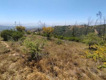 Terreno en Venta en Limache