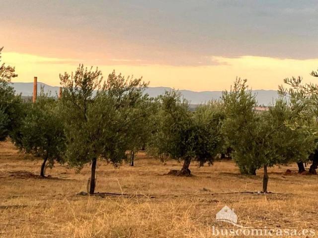 Terreno en Venta en Linares