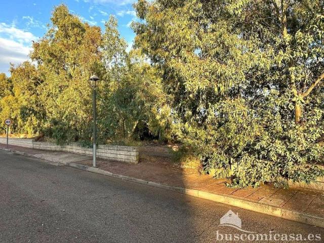 Terreno en Venta en Linares
