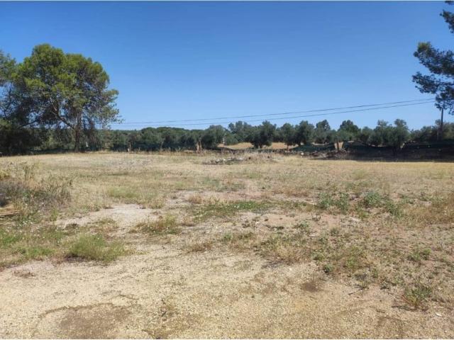 Terreno en Venta en Linares