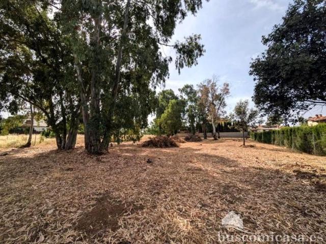 Terreno en venta en Linares, Casualidad, 23700