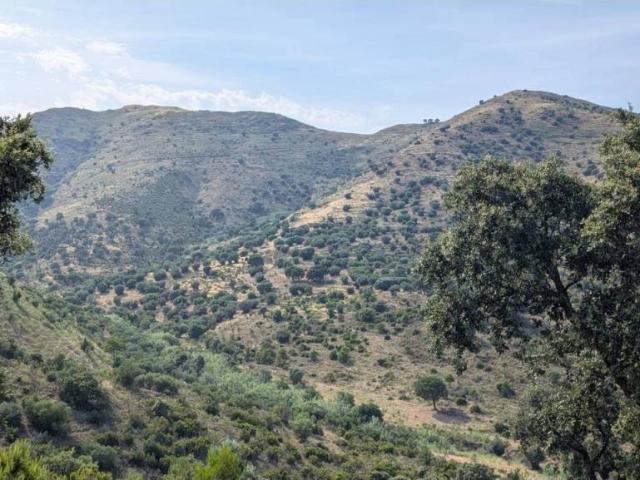 Terreno en Venta en Llançà
