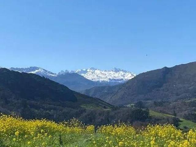 Terreno en Venta en Llanes