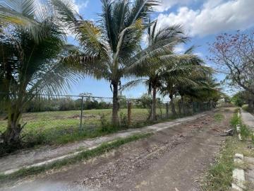 TERRENO EN VENTA EN LLANO DE BUSTOS, VER