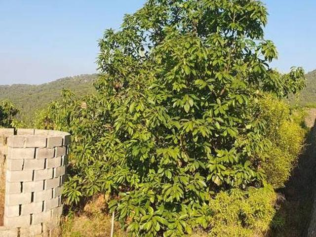 Terreno en Venta en Llaurí