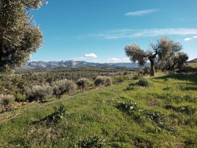 Terreno en venta en Lledó, Lledó