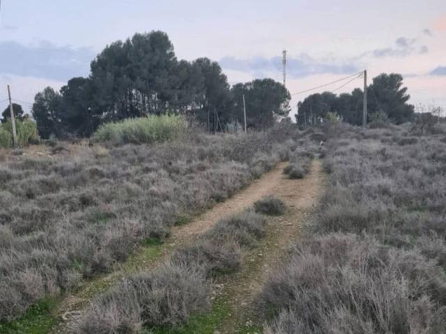 Terreno en Venta en Lleida