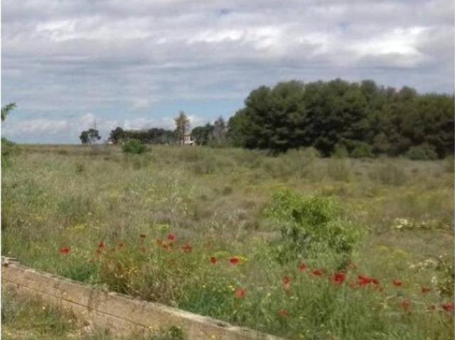 Terreno en Venta en Lleida