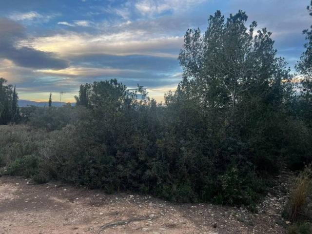 Terreno en Venta en Llíria