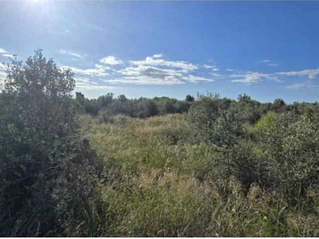 Terreno en Venta en Llíria