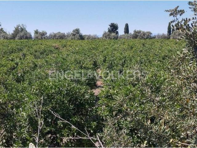 Terreno en Venta en Llíria