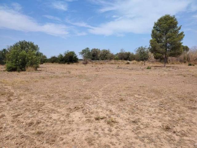 Terreno en Venta en Llíria