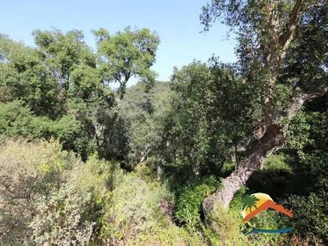 Terreno en Venta en Lloret de Mar