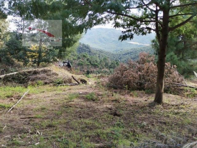 Terreno en Venta en Lloret de Mar