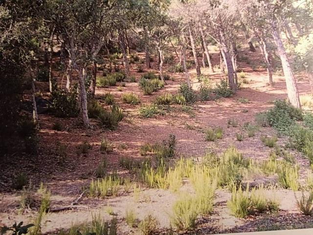 Terreno en Venta en Lloret de Mar
