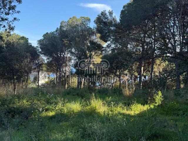 Terreno en Venta en Lloret de Mar