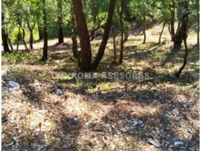 Terreno en Venta en Lloret de Mar
