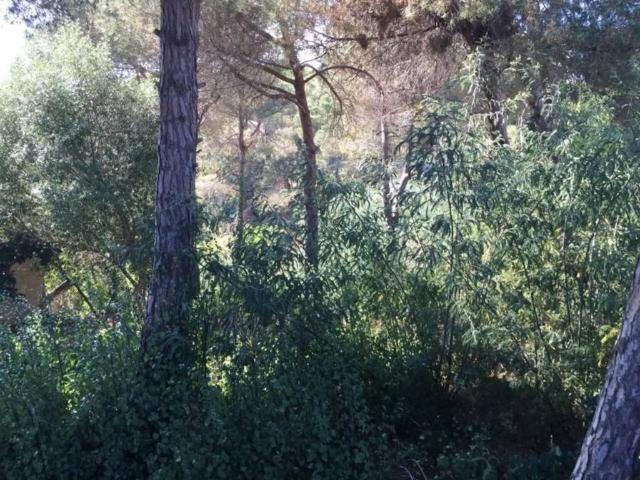 Terreno en Venta en Lloret de Mar
