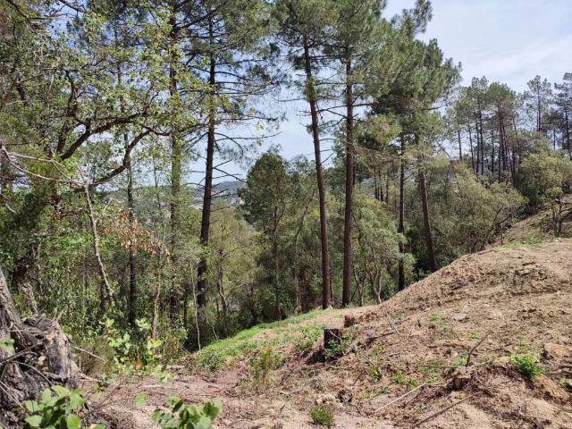 Terreno en Venta en Lloret de Mar