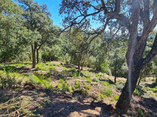 Terreno en Venta en Lloret de Mar