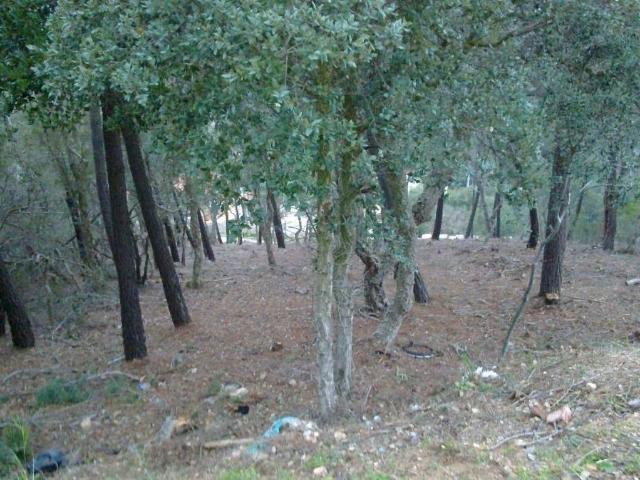 Terreno en venta en Lloret de Mar, de 933 m² por 105.000