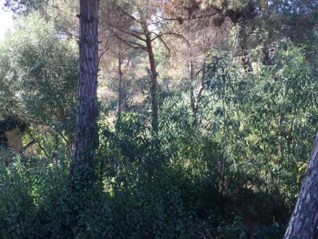 Terreno en venta en Lloret de Mar, Los pinares