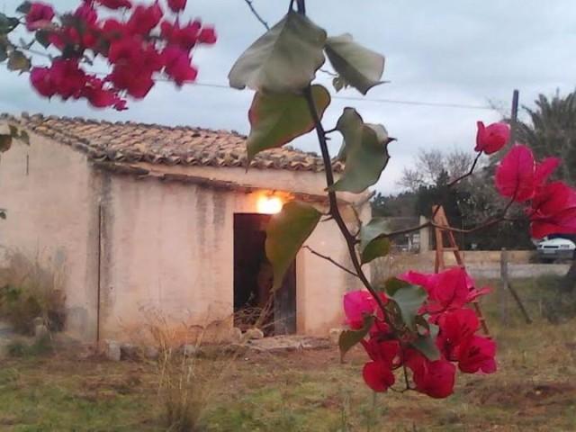 Terreno en venta en Lloseta