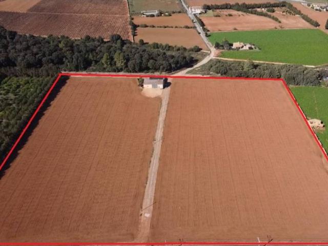 Terreno en Venta en Llubí