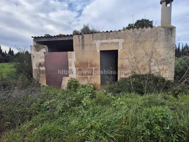Terreno en Venta en Llubí